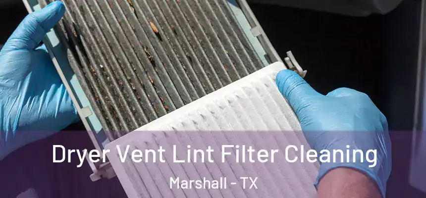 Dryer Vent Lint Filter Cleaning Marshall - TX