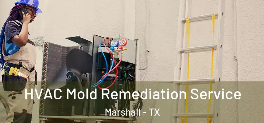 HVAC Mold Remediation Service Marshall - TX