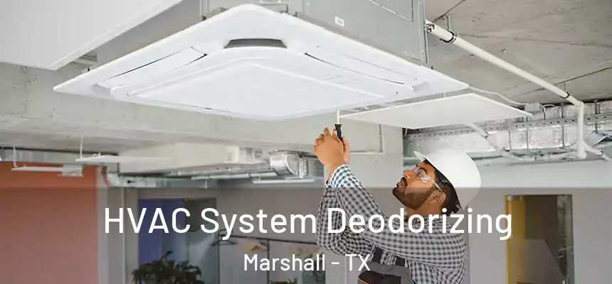  HVAC System Deodorizing Marshall - TX