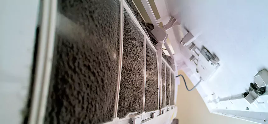 Preventive Air Duct Bacteria Removal in Marshall