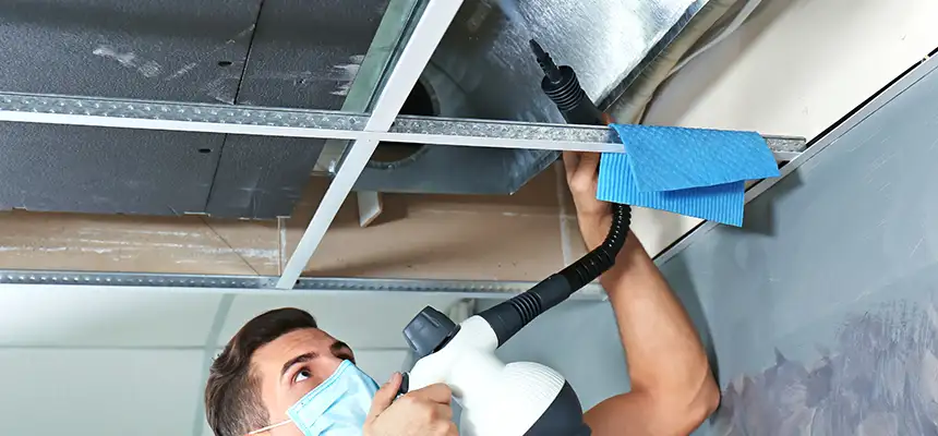 Our Air Duct Rodent Removal Services in Marshall, TX
