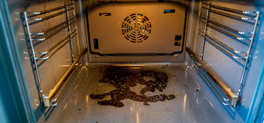 Our Dryer Vent Mold Cleaning Services in Marshall, TX