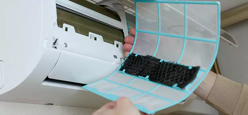 Gentle Ductwork Odor-Control Pet Dander Duct Cleaning in Marshall, TX