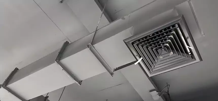 Our Rodent Droppings In Vents Services in Marshall, TX