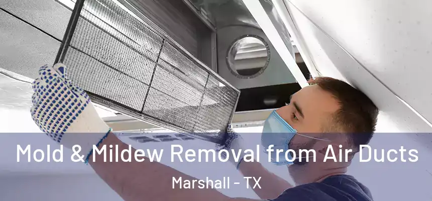 Mold & Mildew Removal from Air Ducts Marshall - TX