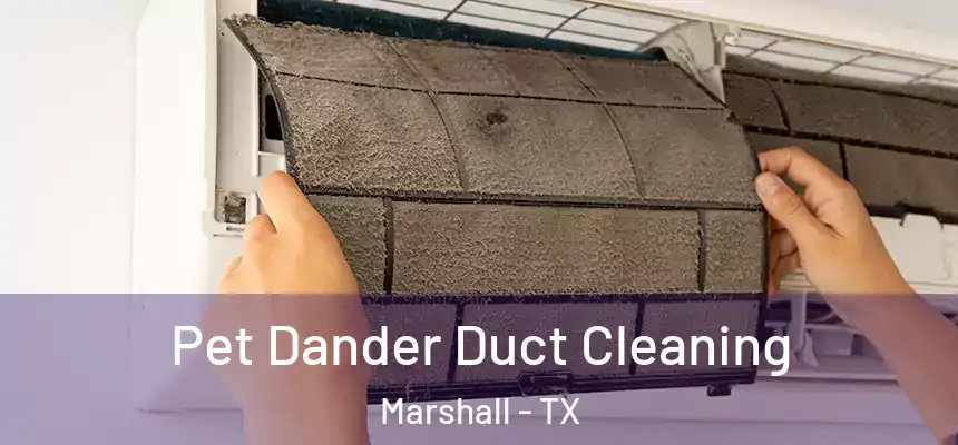 Pet Dander Duct Cleaning Marshall - TX