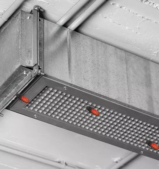 About Air Duct Cockroach Removal in Marshall, TX