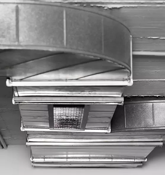 Professional Air Duct Pet Hair Removal in Marshall, TX