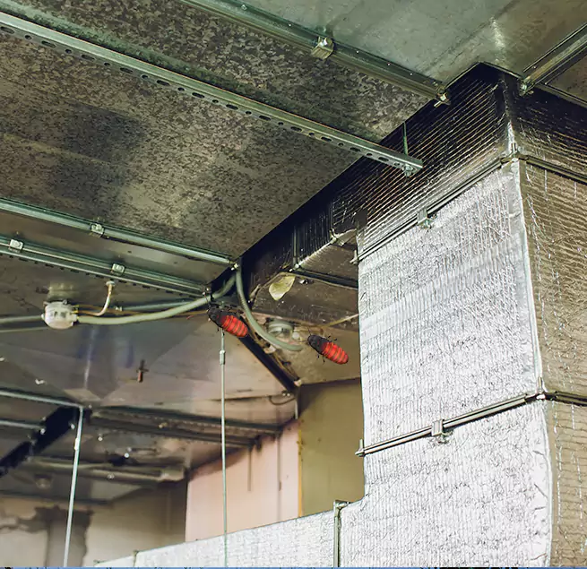 Why Homeowners & Businesses Trust Us in Marshall, TX?